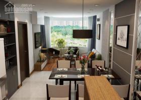 Cần cho thuê căn hộ chung cư Thuận Việt Đ/C 319 Lý Thường Kiệt Phường 15 Quận 11, diện tích 98m2,  2033317