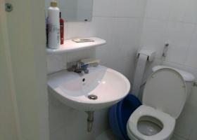 Chính chủ cần cho thuê căn hộ 8x Thái An ( 221/1 Phan Huy Ích Q Gò Vấp) 2034842