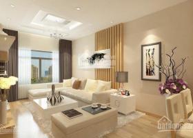 Cho thuê Penthouse Sky Garden 3, PMH, Quận 7, DT 300m2, 3PN 3WC, nhà mới 100%, giá 25 triệu /th LH: 0914 241 221 (Ms.Thư) 2036234