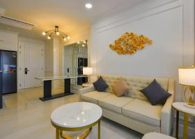Cần cho thuê căn hộ chung cư Hồng Lĩnh Plaza 9A Khu Trung Sơn, Bình Hưng 2038566