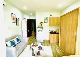 Cho thuê căn hộ đầy đủ nội thất có ban công ngay trung tâm quận 1 2047914