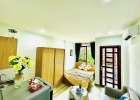 Cho thuê căn hộ đầy đủ nội thất có ban công ngay trung tâm quận 1 2047914