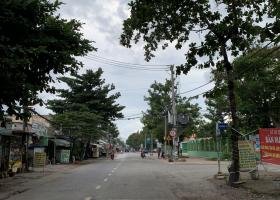  Cho Thuê Kho 1000m Mới Tinh Đường Lò Lu -Q9 -Gía 65tr 2047917