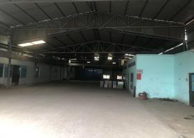 CHO THUÊ KHO XƯỞNG 2500M2 CÁCH QUỐC LỘ 1A 30M, AN PHÚ ĐÔNG, Q.12 2059236