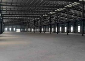 CHO THUÊ KHO XƯỞNG 5200M2, KV 7.300M2 ĐỖ VĂN DẬY, H.HÓC MÔN 2059238