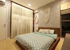 Cho thuê căn hộ Sunrise city giá rẻ Quận 7 2061691