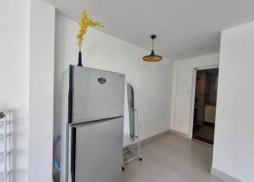 Căn hộ Dịch vụ siêu đẹp chỉ tính tiền điện nước-Q2 2066099
