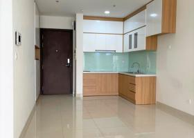 Cho thuê căn hộ Newton Phú Nhuận, 2Pn, NTCB, đang trống, Giá 15Tr 2066236