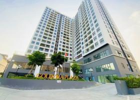 11tr/tg Cho thuê căn hộ 2pn full nội thất-GOLDORA PLAZA 2077527