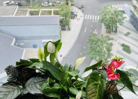 Okila thuê căn Sunwah - 2PN - Full - 99m2 - 30tr 2082154