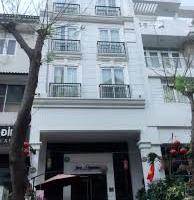 Chuyên cho thuê khách sạn, căn hộ dịch vụ nguyên căn khu Phú Mỹ Hưng, Quận 7. 2094243