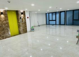 Cho thuê tòa nhà văn phòng Mặt tiền Trần Khắc Chân Quận 1 2094444