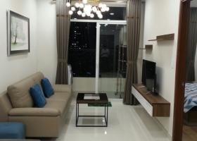 Cho thuê rẻ CHCC 1 phòng ngủ 50m2 Grand Riverside Bến Vân Đồn TP.HCM 2094730