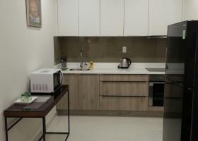 Cho thuê rẻ CHCC 1 phòng ngủ 50m2 Grand Riverside Bến Vân Đồn TP.HCM 2094730