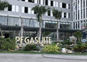 Cần cho thuê căn hộ chung cư The Pegasuite 1A Tạ Quang Bửu Phường 6 Quận 8,  2095082