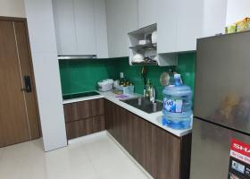 Cần cho thuê chung cư Richstar 65m 2PN 2WC Full nội thất  2095888