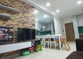 Cần cho thuê chung cư Richstar 65m 2PN 2WC Full nội thất  2095888