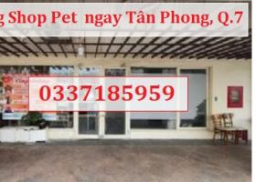 ⭐️Sang Shop Pet  ngay Tân Phong, Quận 7, HCM; 0337185959 2096619