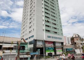 Chính chủ cần cho thuê căn hộ Ngọc Khánh Tower 21 Đường Nguyễn Biểu, Phường 1, 2096856