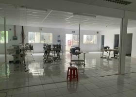Chính chủ cần cho thuê kho xưởng 3100m2 tại Phường 4 Gò Vấp, TP. HCM 2096986
