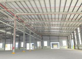 Cho thuê nhà xưởng 25000m2 tại Long Nguyên, Bàu Bàng, Bình Dương  2097717