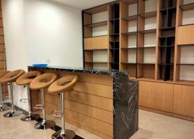 Cho Thuê Biệt Thự Bason full nội thất cao cấp giá chỉ 180tr/tháng 2102690