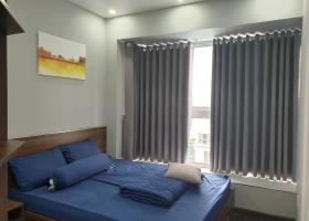 Cho thuê căn hộ Scenic Valley 1, 71m2, 2pn PMH, Q7. giá 20 triệu 2103269
