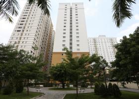 Cần cho thuê căn hộ Idico 60m2, 2 phòng ngủ, 2 nhà vệ sinh 8tr/th 0903154701 2103287