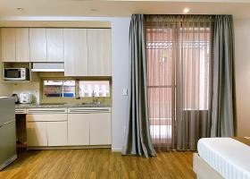 Cho thuê căn hộ 1PN, giá từ 7tr - 17tr, tại Phú Mỹ Hưng, Q7, đầy đủ tiện nghi 2104194