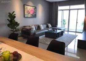 Cho thuê căn hộ cao cấp ngay trung tâm Phú Mỹ Hưng, 88m2, giá 13 triệu/tháng 2106434