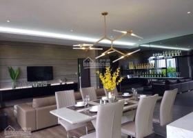 Cần cho thuê penthouse Riverpark Residence Phú Mỹ Hưng, quận 7 2106946