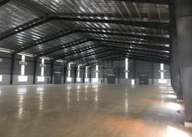 CHO THUÊ KHO XƯỞNG 5.500M2, 11.000M2, 23.000M2, 50.000M2, 79.000M2 KCN TÂN PHÚ TRUNG, CỦ CHI 2107725