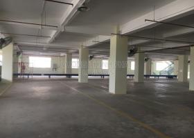 CHO THUÊ NHÀ XƯỞNG 8.000M2 NGUYỄN ẢNH THỦ, Q.12, GẦN QL 22, KCN TÂN THỚI HIỆP, TÔ KÝ, GIÁ RẺ 2107819