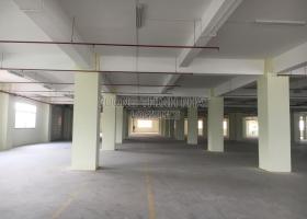 CHO THUÊ NHÀ XƯỞNG 8.000M2 NGUYỄN ẢNH THỦ, Q.12, GẦN QL 22, KCN TÂN THỚI HIỆP, TÔ KÝ, GIÁ RẺ 2107819