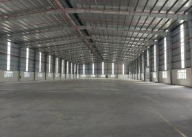 Cho thuê nhà xưởng 9000m2 trong KCN Mỹ Phước 2, Bến Cát, Bình Dương  2107861