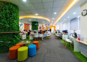 Cho thuê toà nhà mặt tiền Mạc Đỉnh Chi - Nguyễn Văn Thủ Phường Đakao, Quận 1 2108230