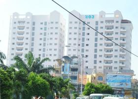 Cho thuê căn hộ cao cấp 203 Nguyễn trãi Q.1, DT 55m2,1PN Đủ nội thất 0902855182 2110704