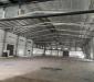 Cần cho thuê nhà xưởng 10.000m2 Tân Thới Nhất 17, Quận 12, giá rẻ