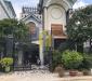 Villa sân vườn 350m2 gần Đảo Kim Cương giá 50 triệu